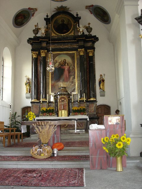 DSC00517.jpg