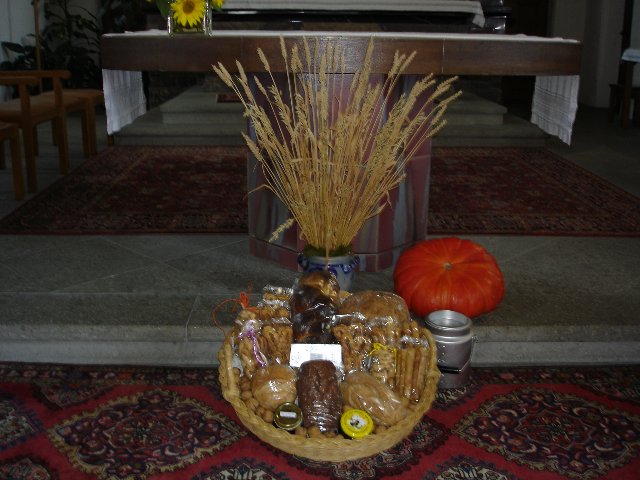 DSC00518.jpg