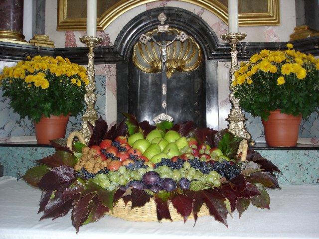 DSC00519.jpg