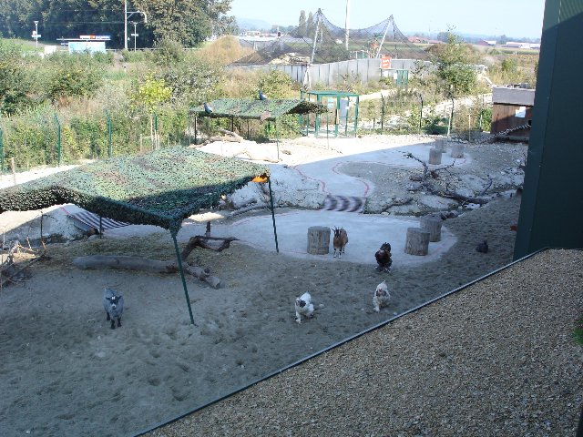 DSC00524.jpg
