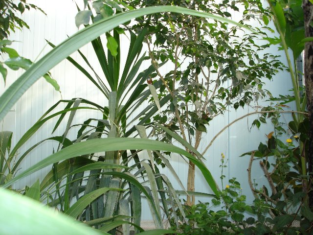 DSC00529.jpg