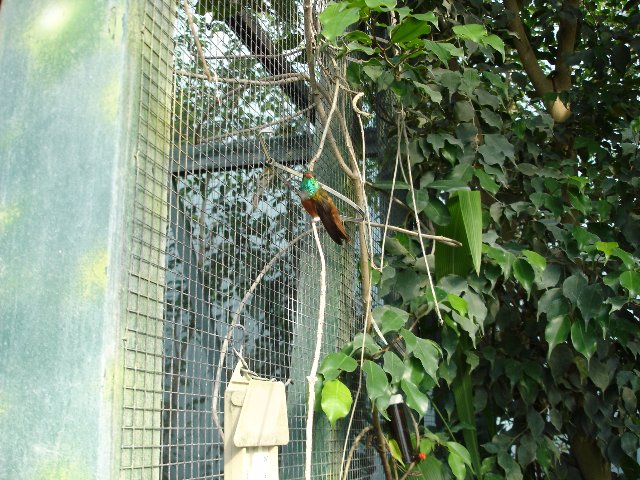 DSC00532.jpg