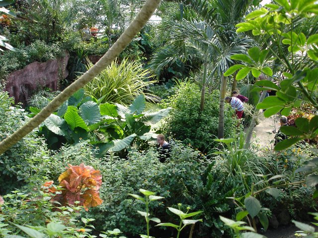 DSC00533.jpg