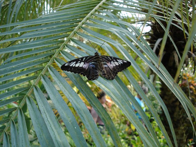DSC00542.jpg