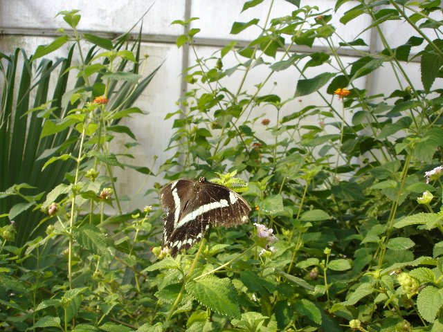 DSC00543.jpg