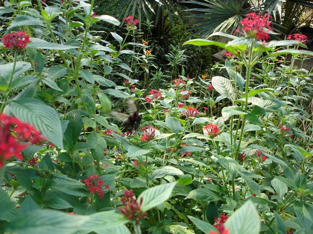 DSC00545.jpg