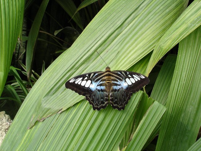DSC00553.jpg