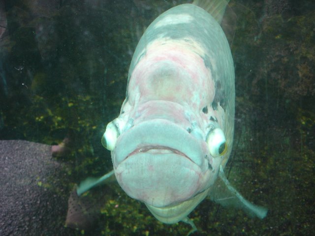 DSC00554.jpg