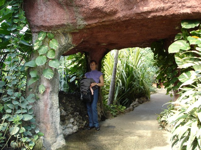 DSC00556.jpg
