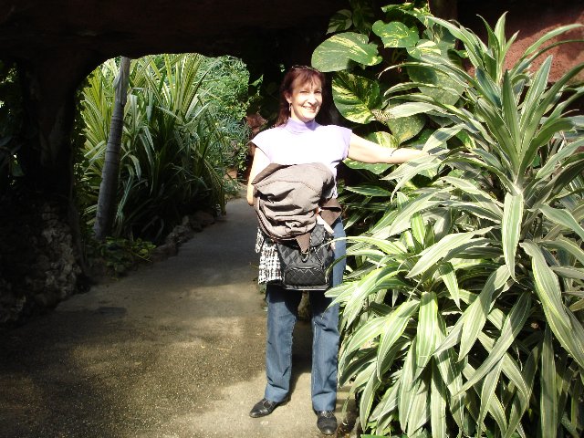 DSC00557.jpg