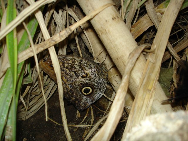 DSC00566.jpg