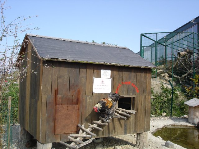 DSC00575.jpg